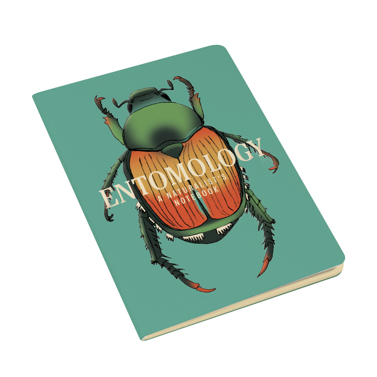Entomology: A Naturalist's Notebook