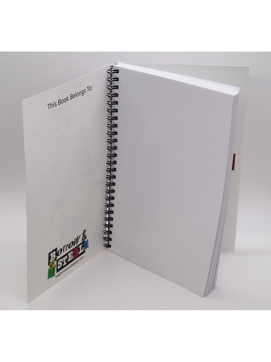 Mormon Rockwell BBS Notebook